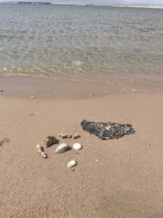 Strand Steigenberger Resort Ras Soma