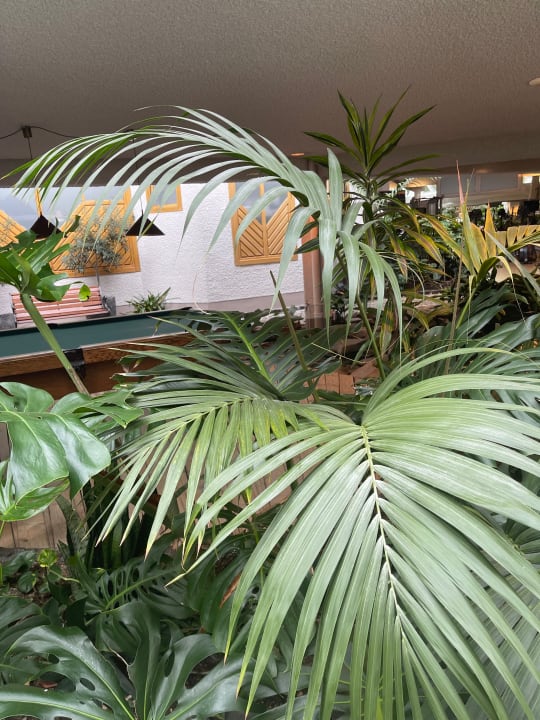 Sport & Freizeit Hotel Deimann