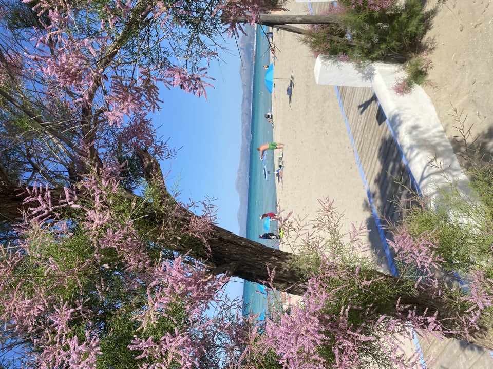 Strand The Sea Hotel by Grupotel - Adults only