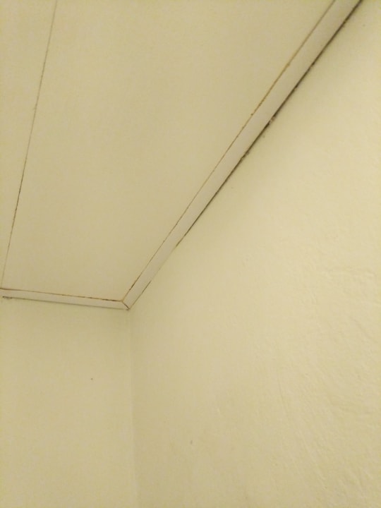 Schimmel  Iberostar Waves Costa Dorada