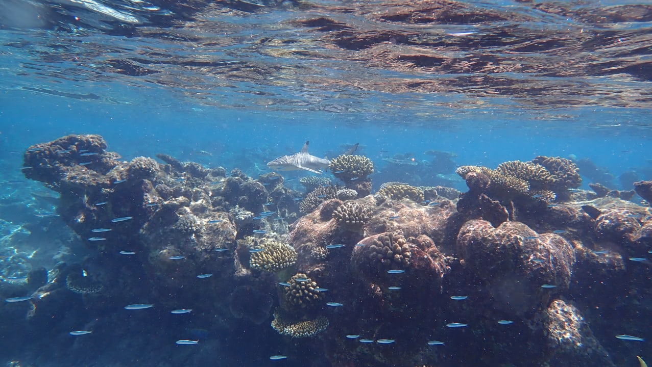 Sport & Freizeit NH Collection Maldives Havodda Resort