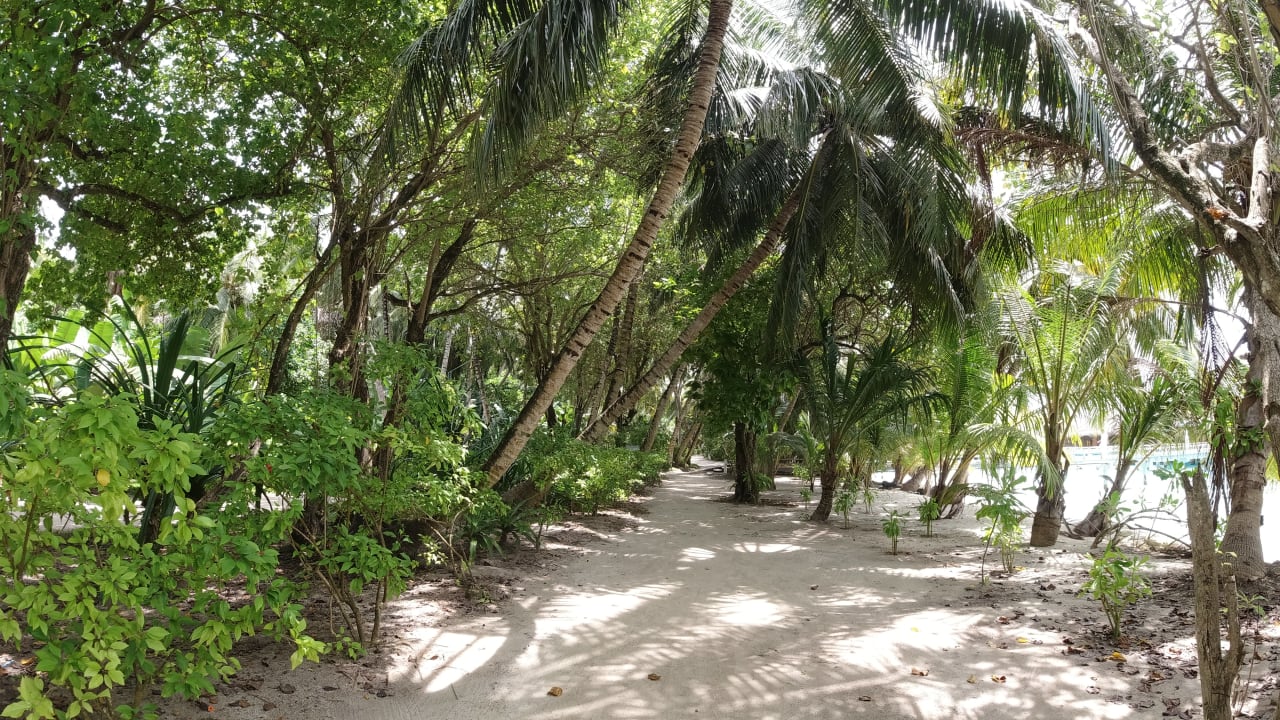 Gartenanlage Kuramathi Maldives