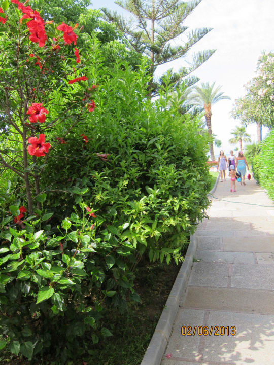 Hibiskus Labranda Alantur Resort