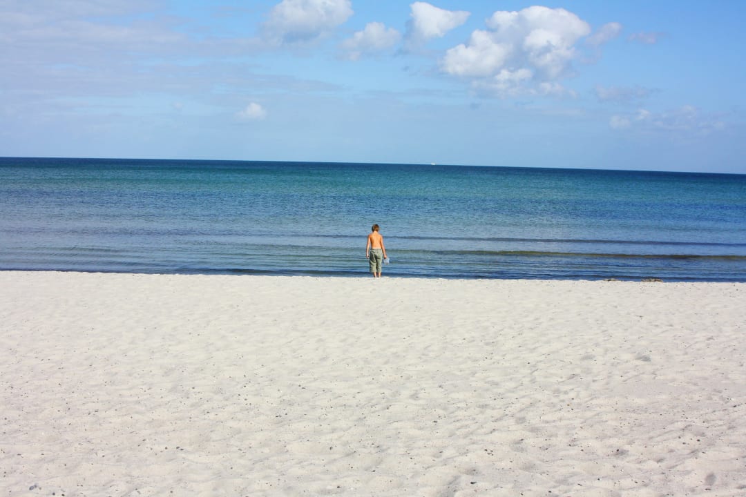 Ausblick Ferienhaus Odin - Paradies Rügen