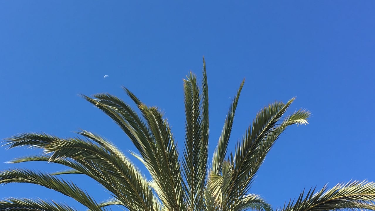 Gartenanlage H10 Timanfaya Palace - Adults only