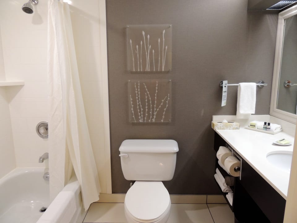 Zimmer Cambridge Suites Hotel