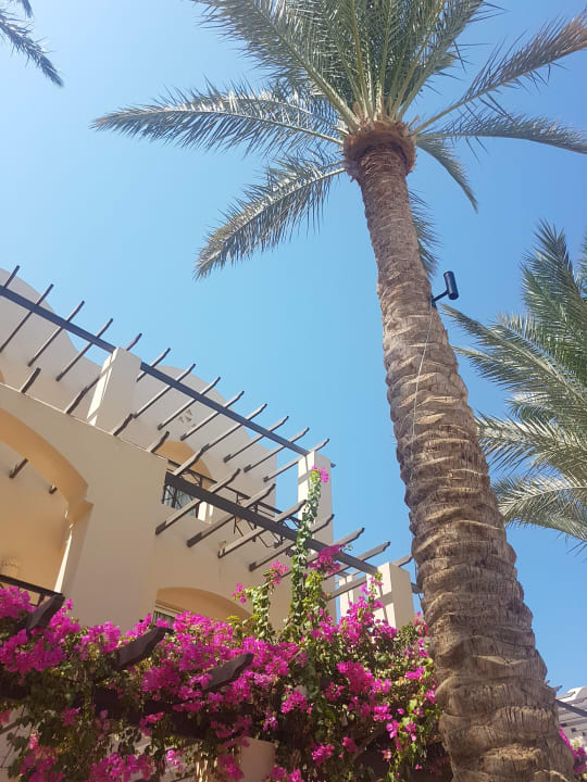 Gartenanlage Jaz Makadina