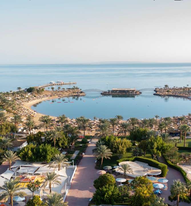 Gartenanlage Desert Rose