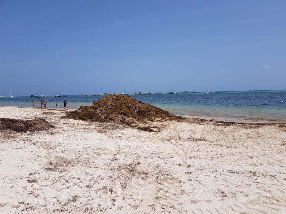 Strand Lopesan Costa Bávaro Resort, Spa & Casino