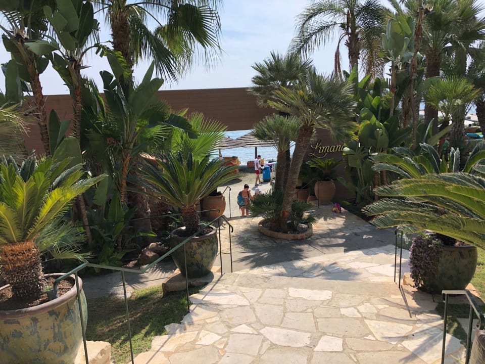 Gartenanlage Amathus Beach Hotel Limassol