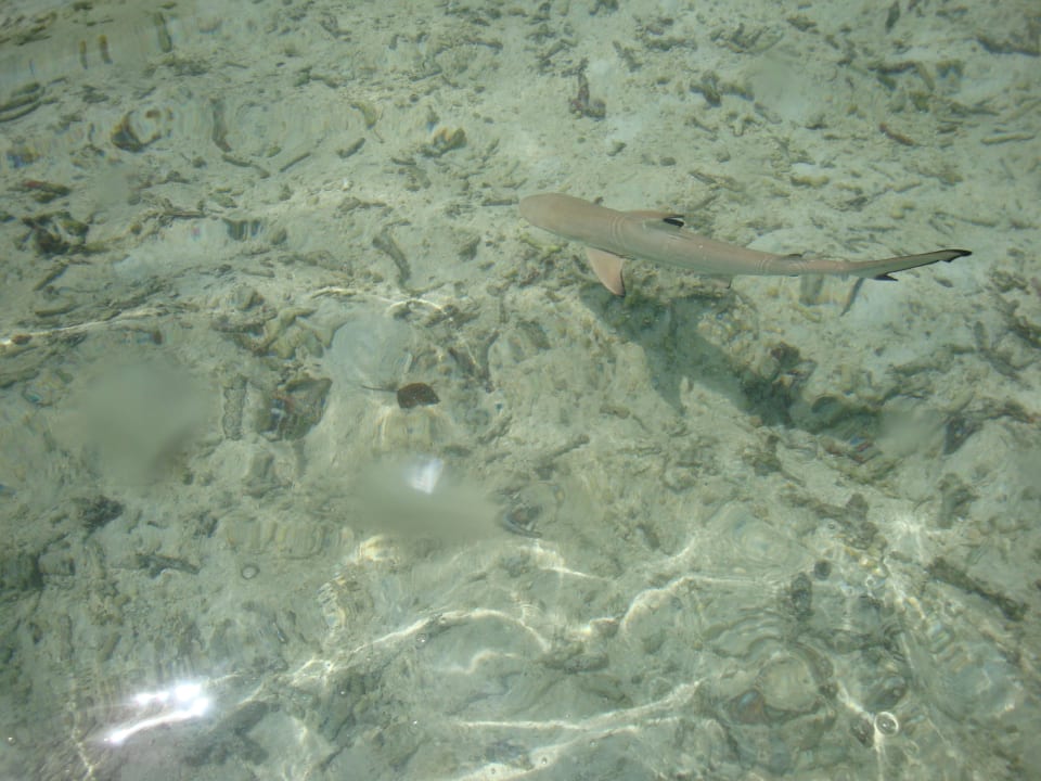 Baby-Hai Adaaran Select Hudhuran Fushi - Premium All Inclusive