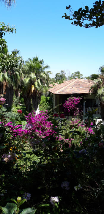 Garten Hotel Defne Dream