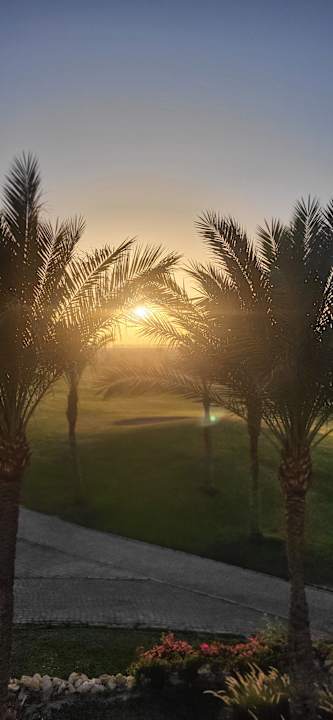 Ausblick Steigenberger Makadi Hotel - Adults only