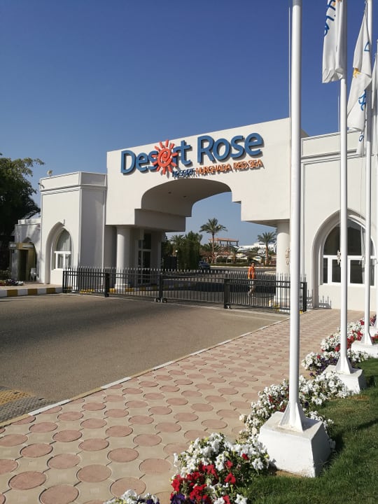 Sonstiges Desert Rose