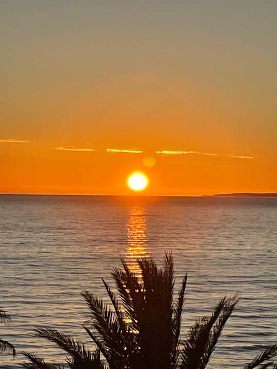 Ausblick allsun Hotel Pil-lari Playa