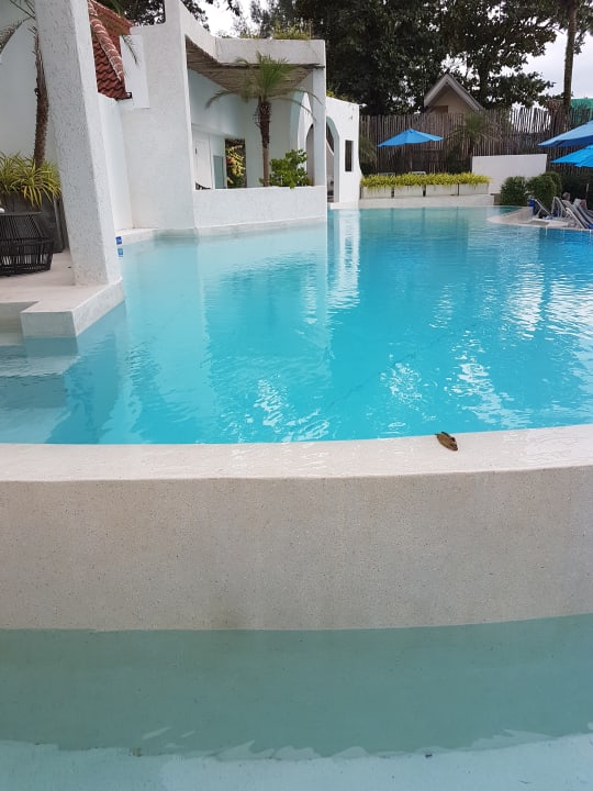 Pool Ocean Breeze Resort