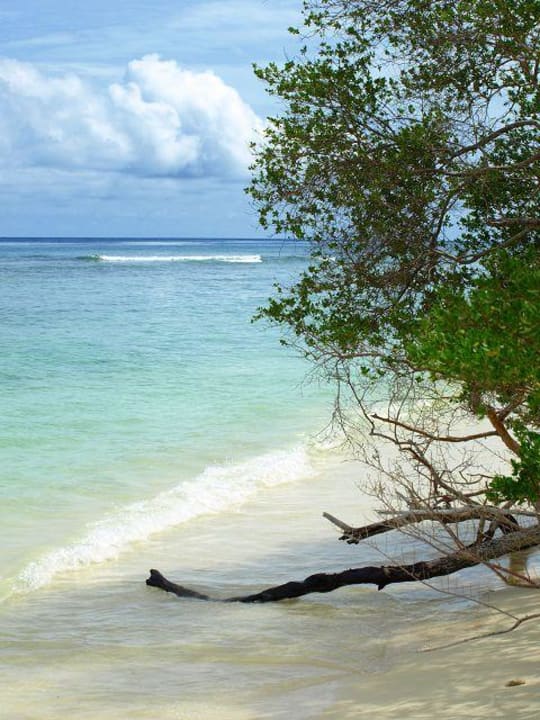 Strand an der Nordseite Kuredu Island Resort & Spa