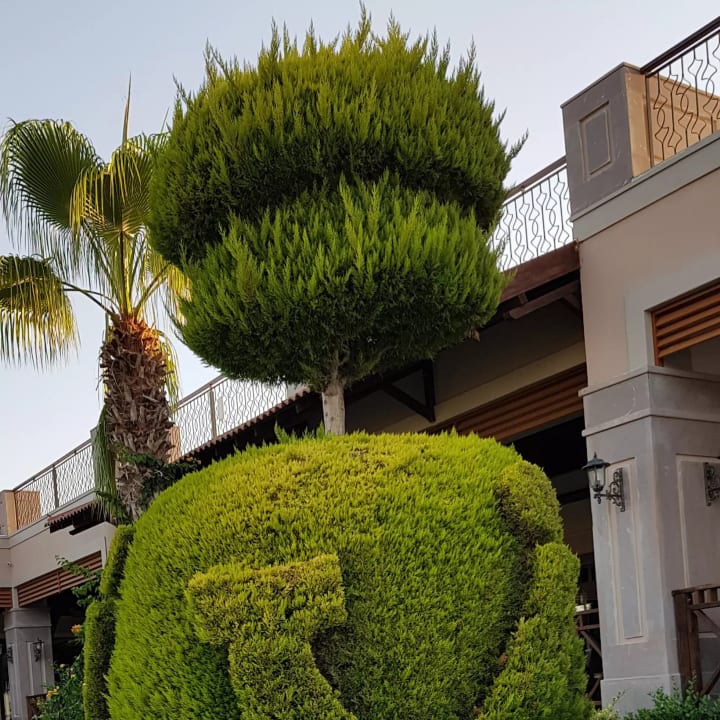 Gartenanlage TUI KIDS CLUB Felicia Village