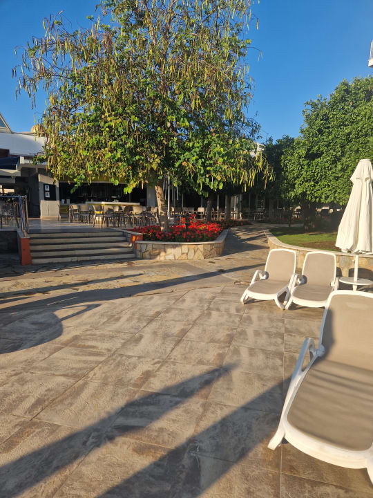Gartenanlage Barut B Suites