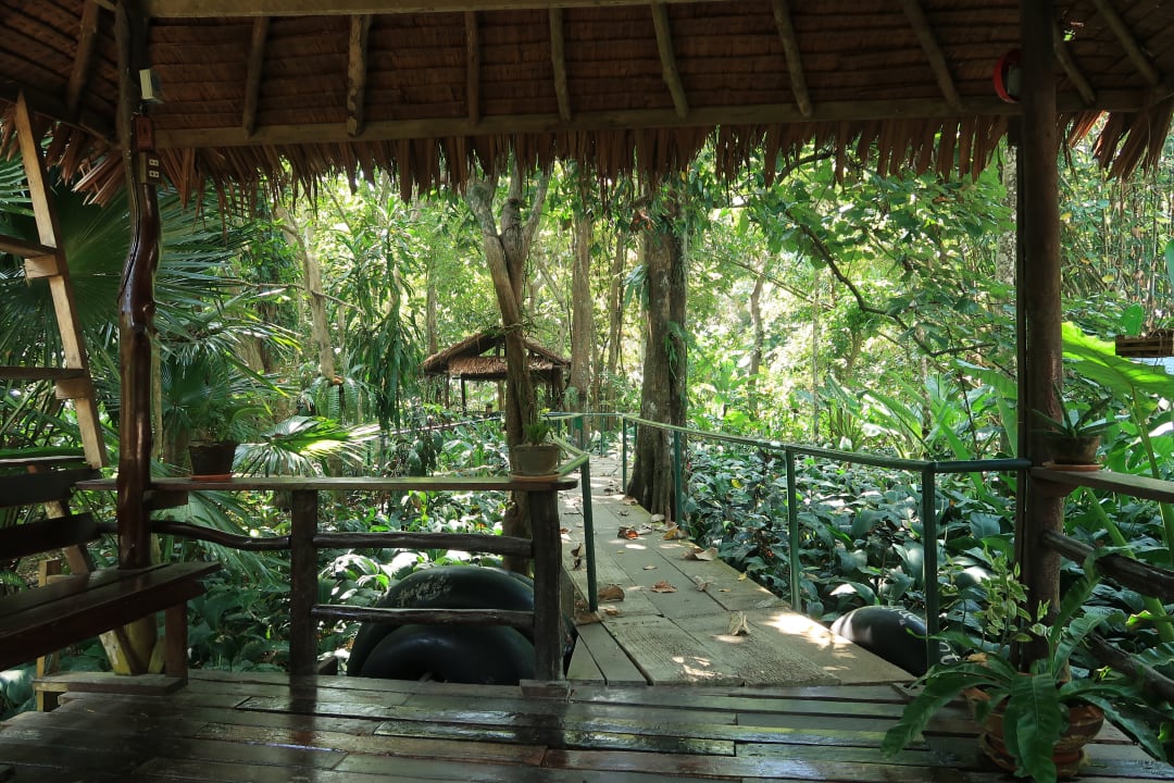 Gartenanlage Khao Sok Jungle Resort