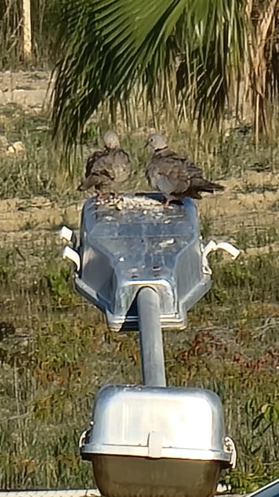 Ausblick Seaden Sea World Resort & Spa