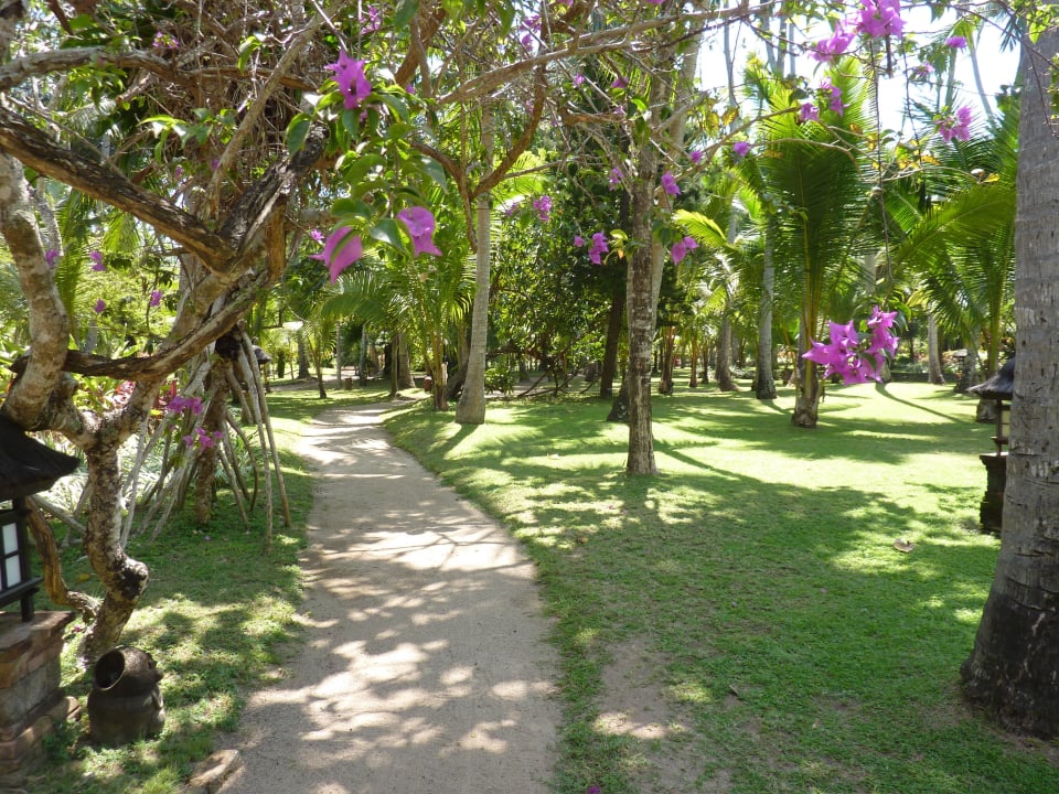 Garten Hyatt Regency Bali