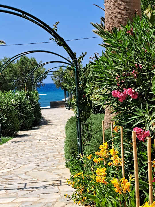 Gartenanlage allsun Hotel Zorbas Village