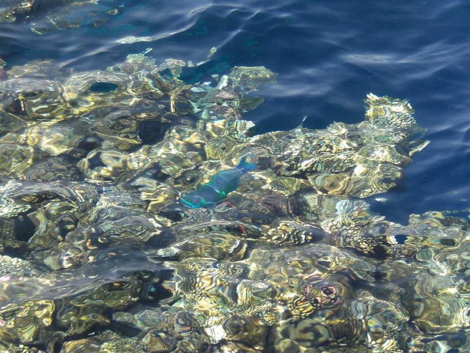 Riff The Grand Hotel Sharm El Sheikh