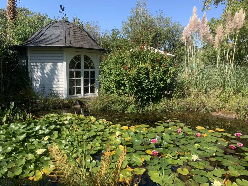 "Gartenanlage" Weinromantikhotel Richtershof (Mülheim an der Mosel