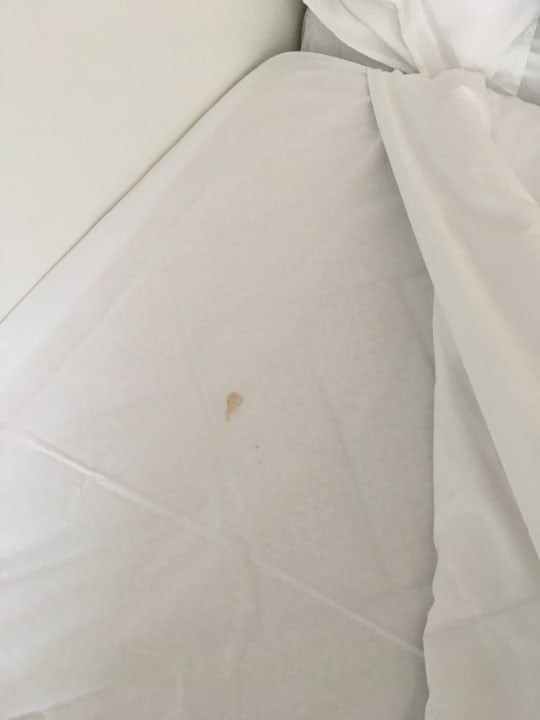 Zimmer Melia South Beach