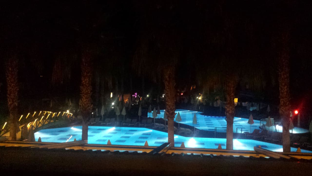 Palm Beach in der Nacht Trendy Palm Beach (Adults Only, 16+)