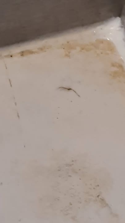 Zimmer Alcudia Garden Aparthotel