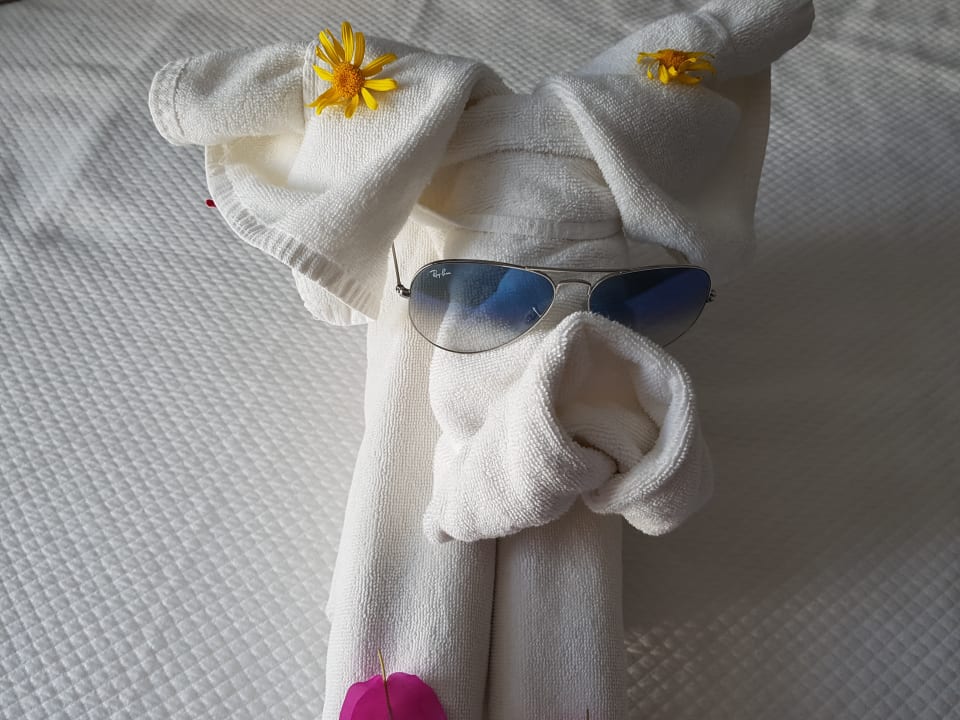 Zimmer Jiva Beach Resort