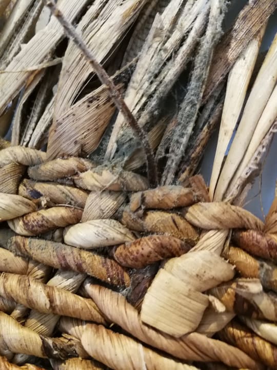 Zimmer Lopesan Costa Bávaro Resort, Spa & Casino