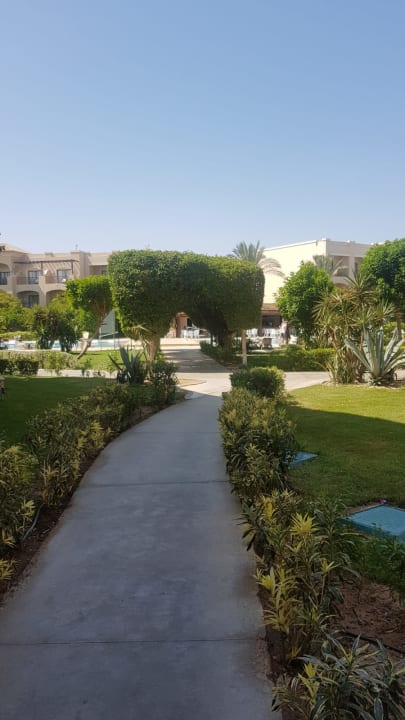 Gartenanlage JAZ Aquamarine Resort