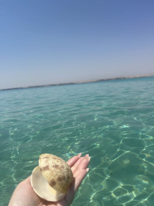 Strand The V Luxury Resort Sahl Hasheesh