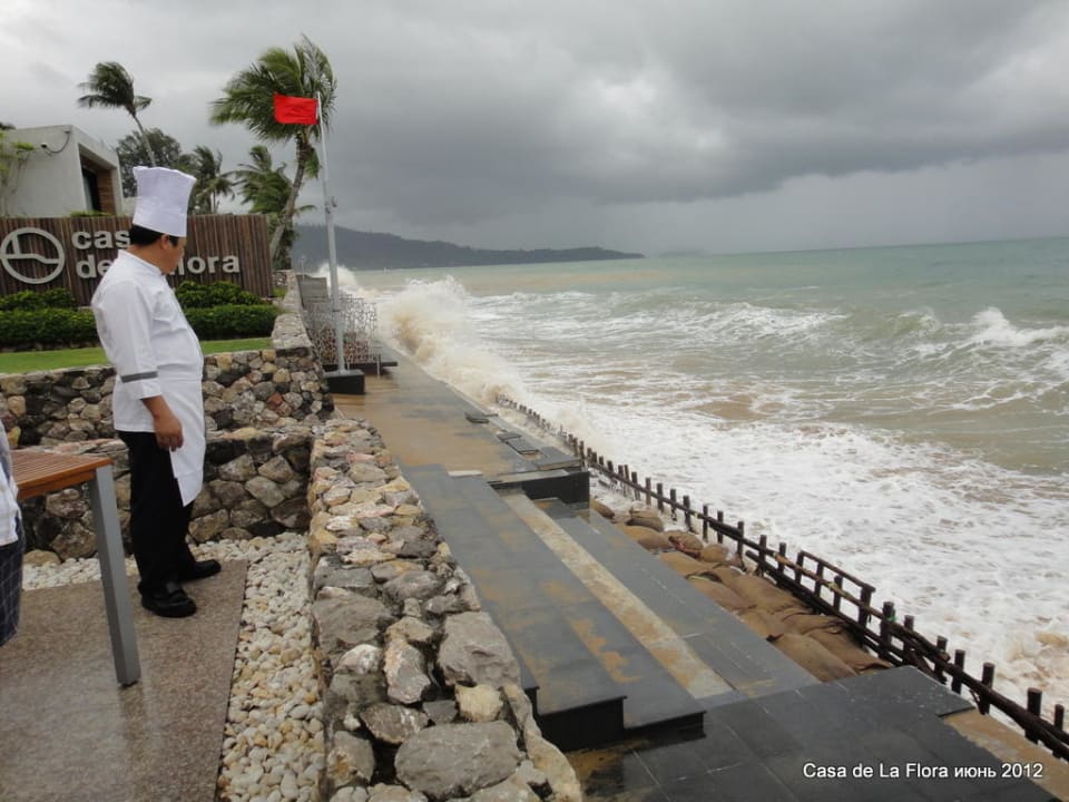 Повар и волны Casa de La Flora