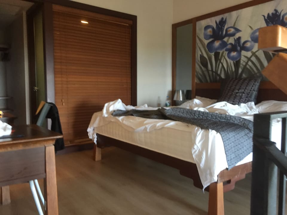 Zimmer Asteria Family Belek