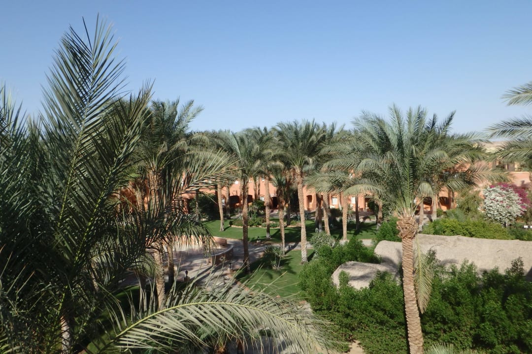 Hotelgarten Jaz Makadi Oasis Resort