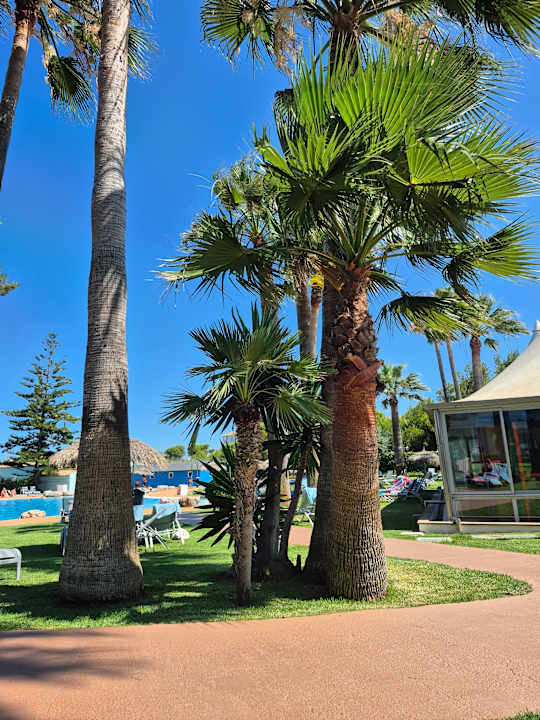 Gartenanlage Playa Esperanza Resort