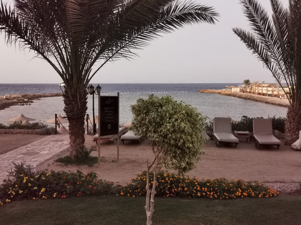 Gartenanlage Royal Star Beach Resort