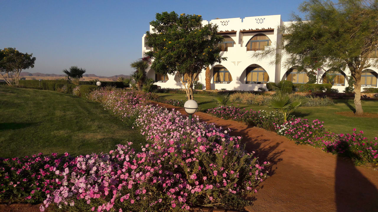 Gartenanlage Three Corners Equinox Beach Resort