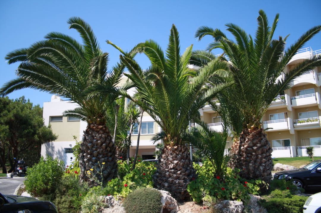 Palmen Hotel Kalithea Mare Palace