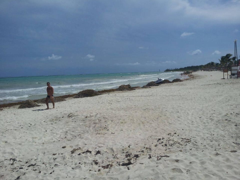 Hotel Catalonia Playa Maroma Catalonia Playa Maroma