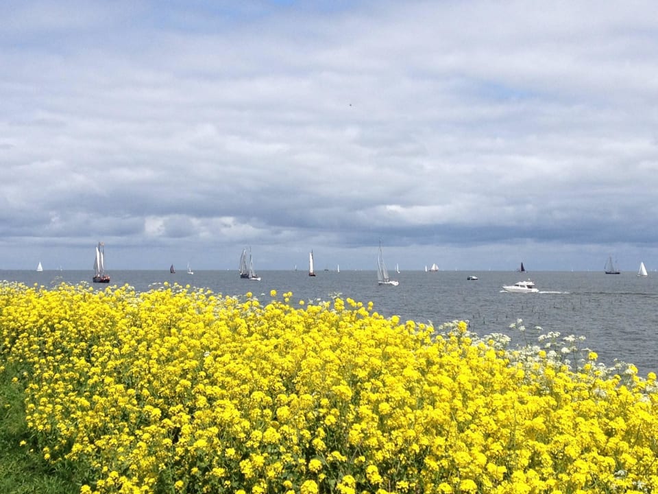 Blick aufs Ijsselmeer Het Grootslag Vakantiepark
