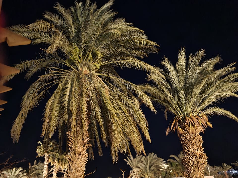 Sonstiges Lotus Bay Beach Resort