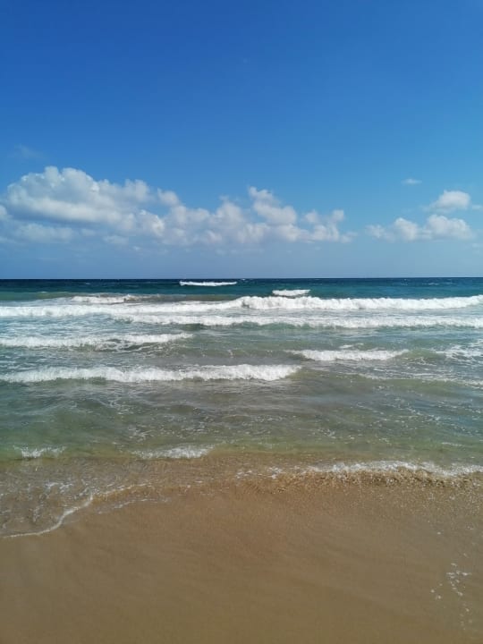 Strand Cactus Beach