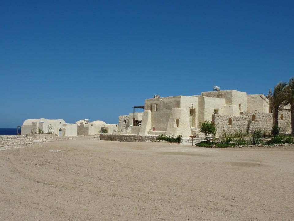 Bungalows The Oasis Dive Resort
