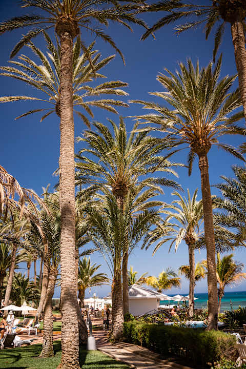 Außenansicht Hotel Riu Palace Tres Islas