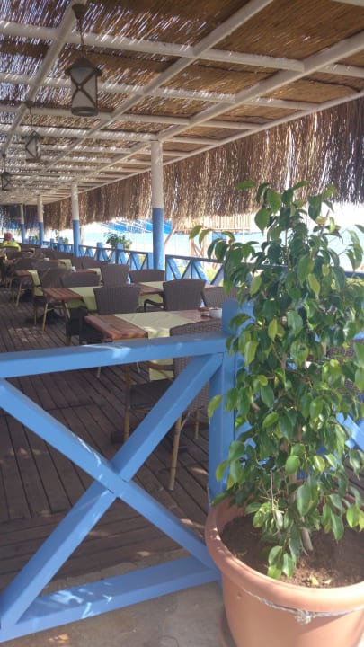 Snackbar. Strand  Crystal Admiral